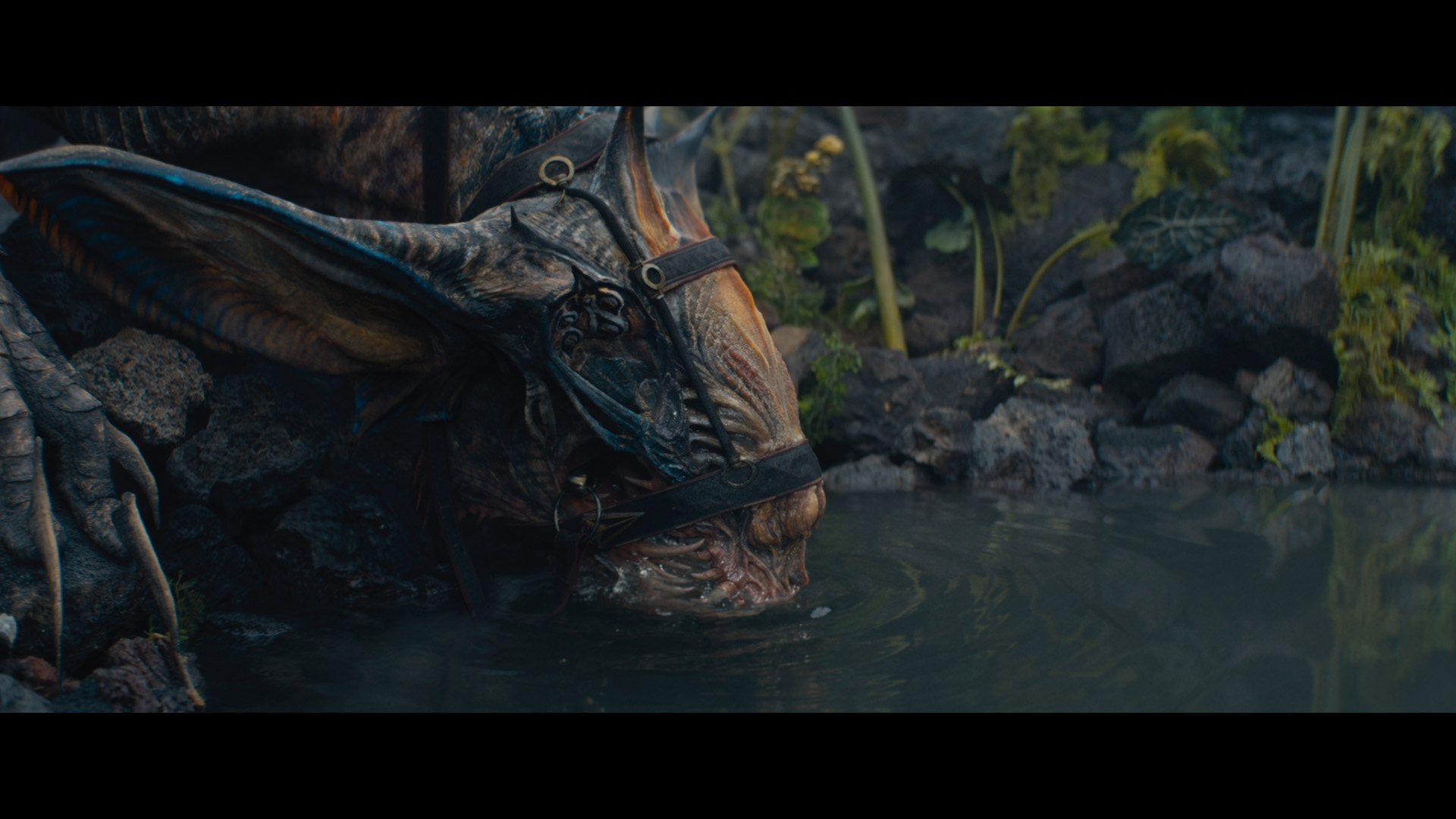 Creature from Foundation